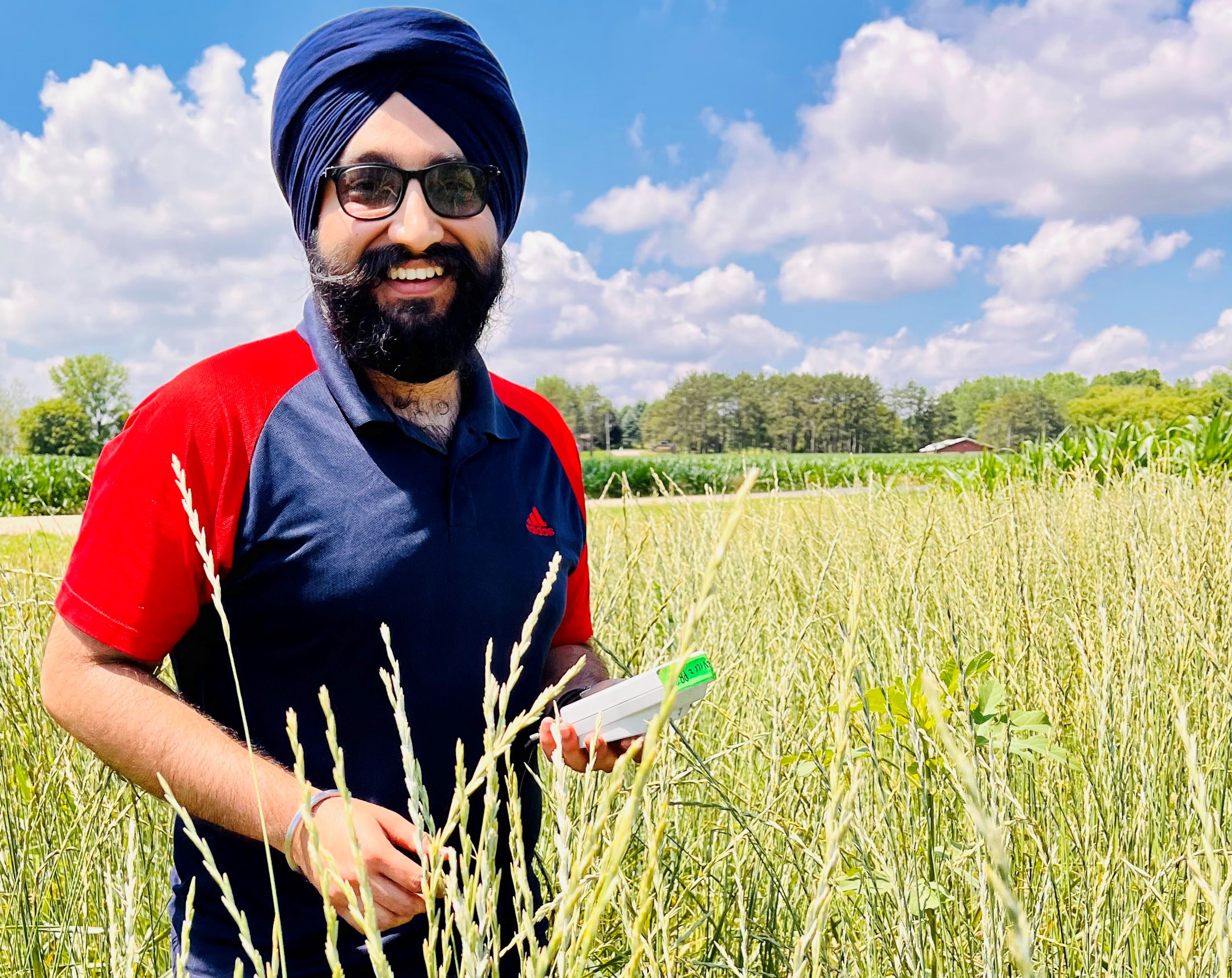 A photo of Gurparteet (GP) Singh conducting research in a wheat field