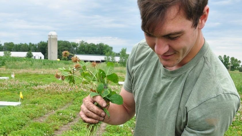 A photo of Jonathan Alexander in a field holding clover, a cover crop 